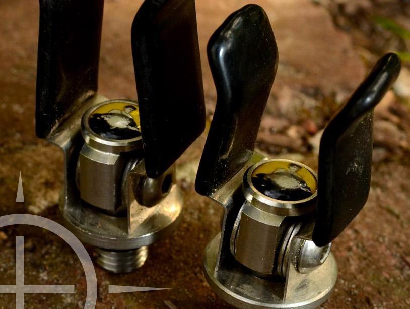 SOLAR - karper-1.jpg